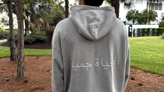 Najah Gray Hoodie